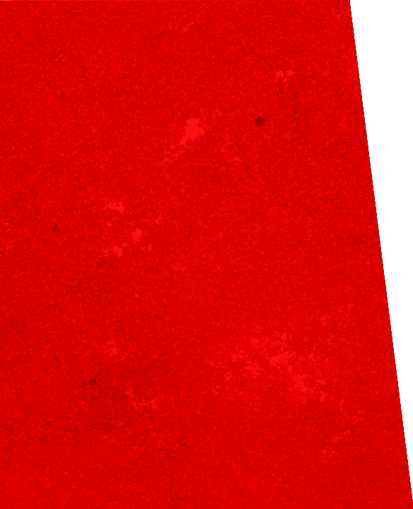 back_red